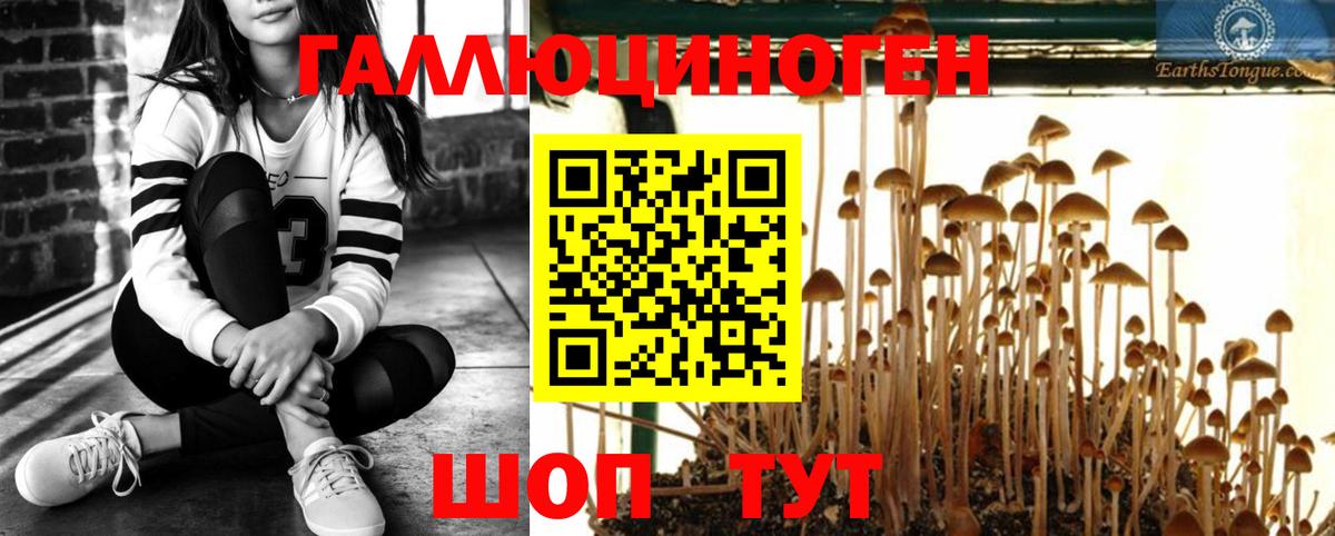 Галлюциногенные грибы прущие грибы Железногорск