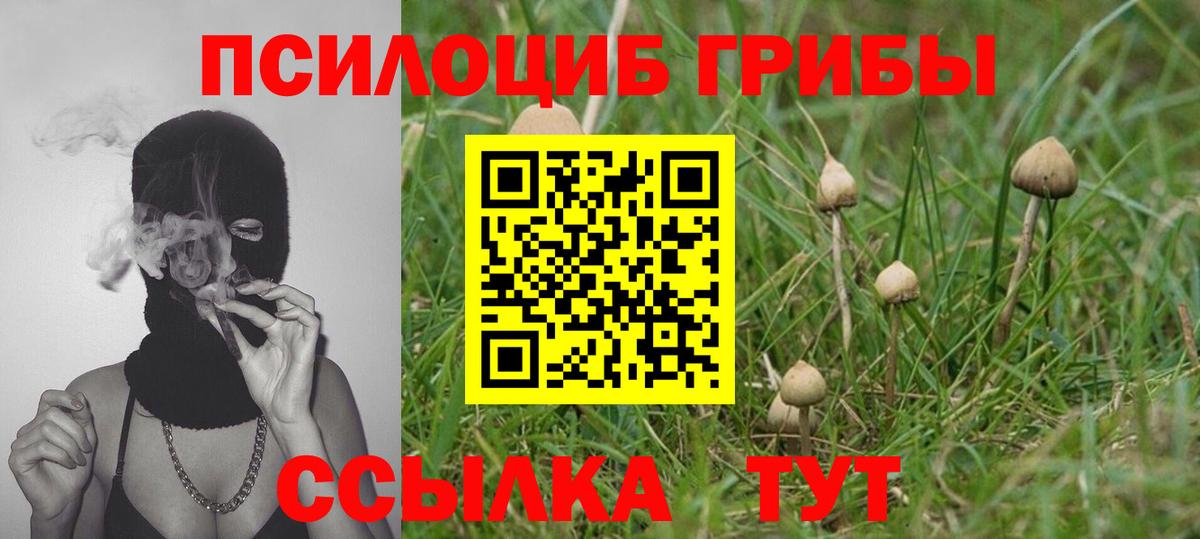 купить наркотики сайты  Вход с VPN  Железногорск  Галлюциногенные грибы мицелий  Псилоцибиновые грибы мухоморы 